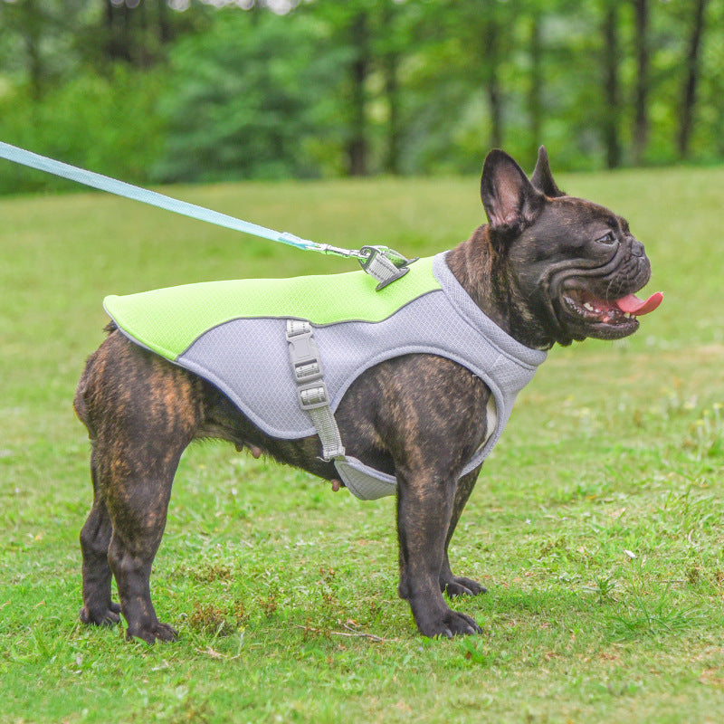 Summer Pet Dog Cooling Vest Heat Resistant Cool Dogs Clothes Breathable Sun-Proof Clothing for Small Large Dogs Outdoor Walking